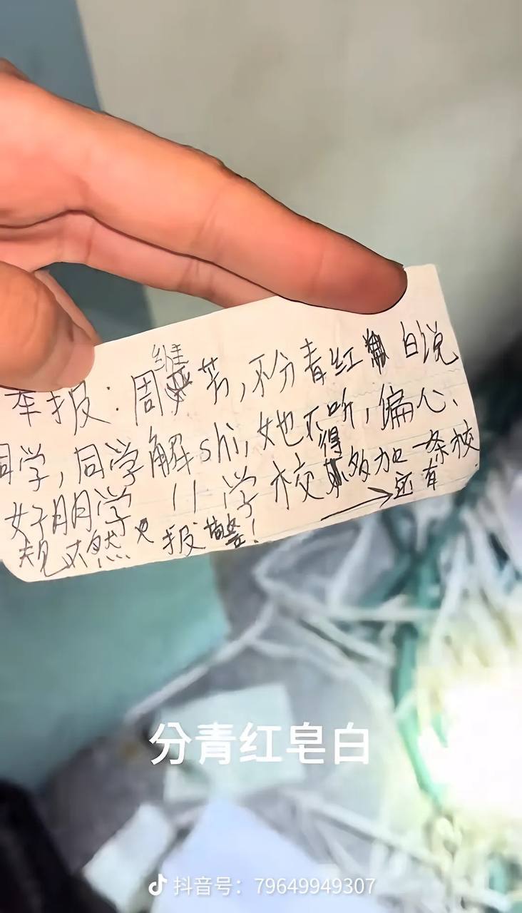 有网友发现，其中有大量 举报信 指向一名叫杨丽的老师。-5