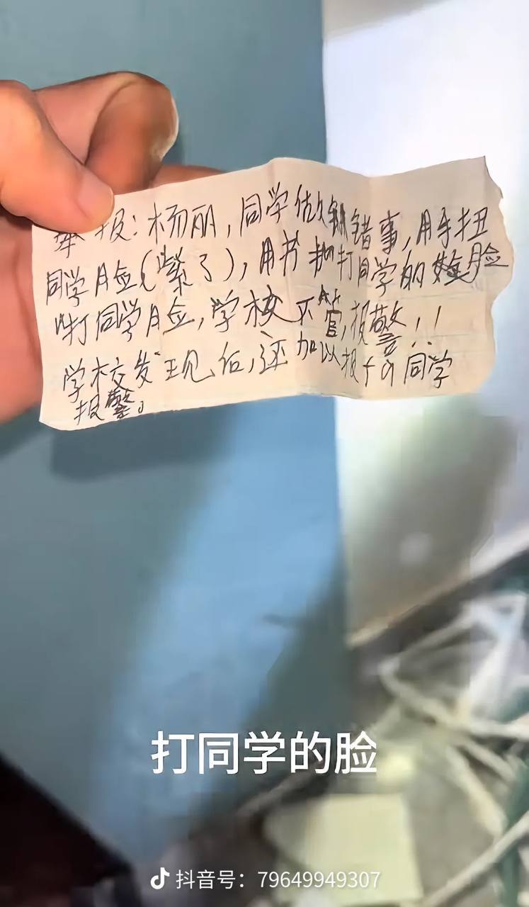 有网友发现，其中有大量 举报信 指向一名叫杨丽的老师。-4
